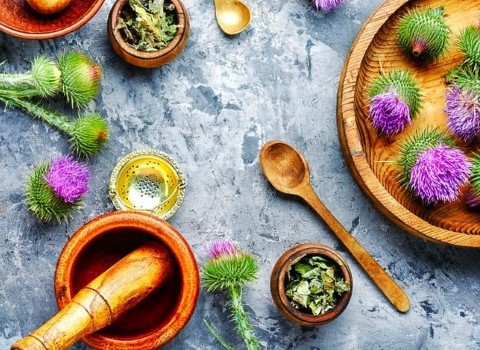 تصویر 3 از قیمت دانه گیاه خار مریم + خرید باور نکردنی
